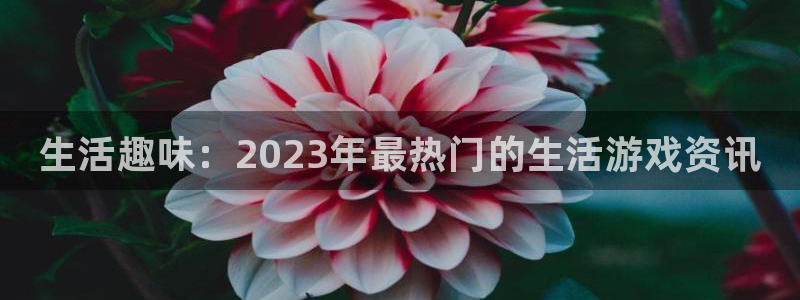 高德娱乐登陆测速：生活趣味：2023年最热门的生活游戏资讯