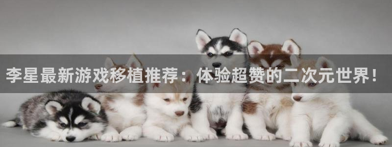 高德娱乐娱乐：李星最新游戏移植推荐：体验超赞的二次元世界！