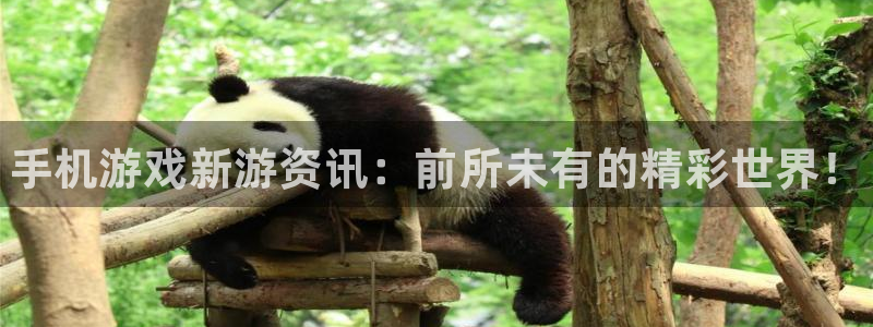 高德娱乐集团：手机游戏新游资讯：前所未有的精彩世界！
