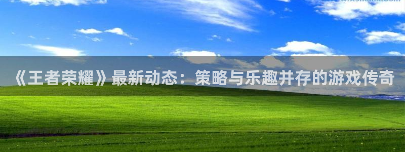 高德娱乐网址注册：《王者荣耀》最新动态：策略与乐趣并存的游戏
