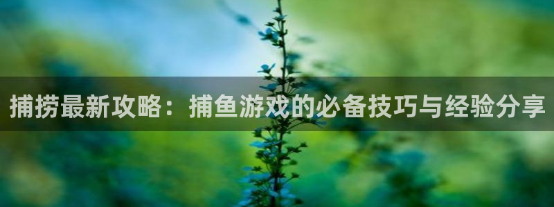 高德娱乐官方登录网址：捕捞最新攻略：捕鱼游戏的必备技巧与经验