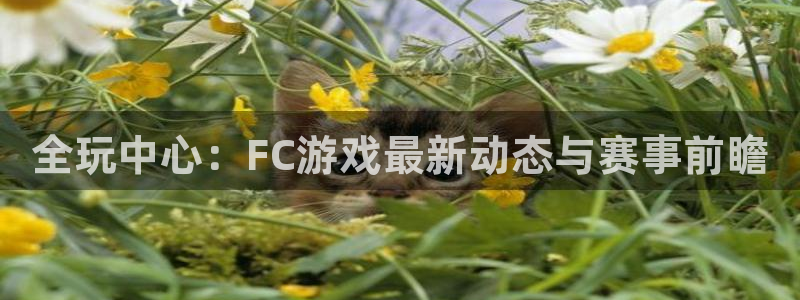 高德娱乐登陆地址：全玩中心：FC游戏最新动态与赛事前瞻