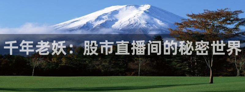 nba在线直播小九直播