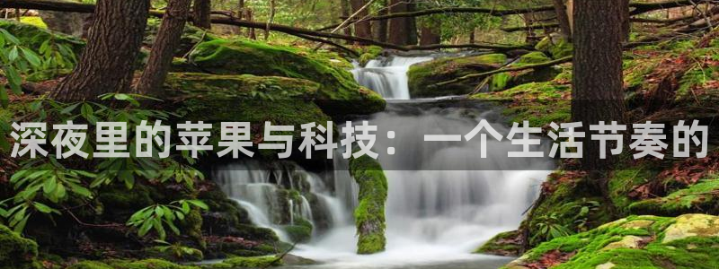 足球比赛直播小九