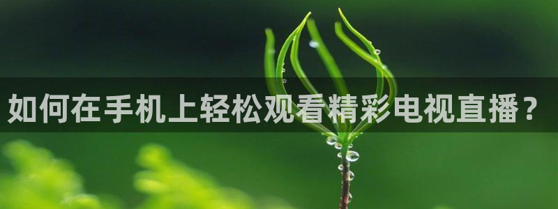小九直播体育直播平台：如何在手机上轻松观看精彩电视直播？
