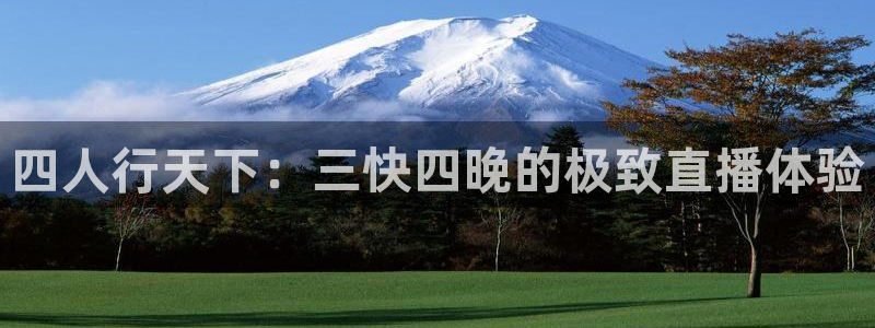 nba直播吧小九直播：四人行天下：三快四晚的极致直播体验