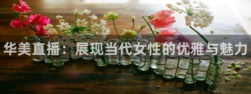 小九看球直播