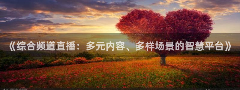 小九直播nba免费观看高清