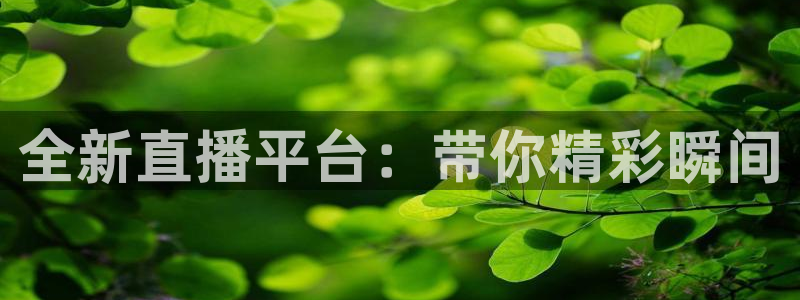 nba直播吧小九