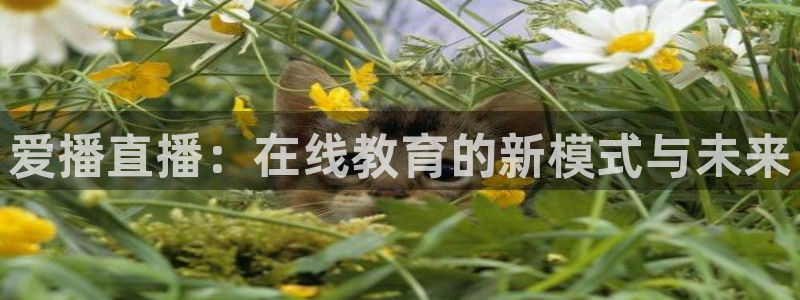 nba直播免费观看直播在线小九：爱播直播：在线教育的新模式与未来
