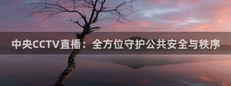 nba小九直播在线观看