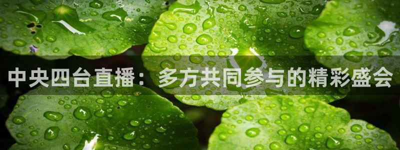 小九体育直播在线观看免费高清