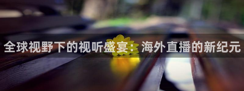 nba直播免费高清直播小九：全球视野下的视听盛宴：海外直播的新纪元