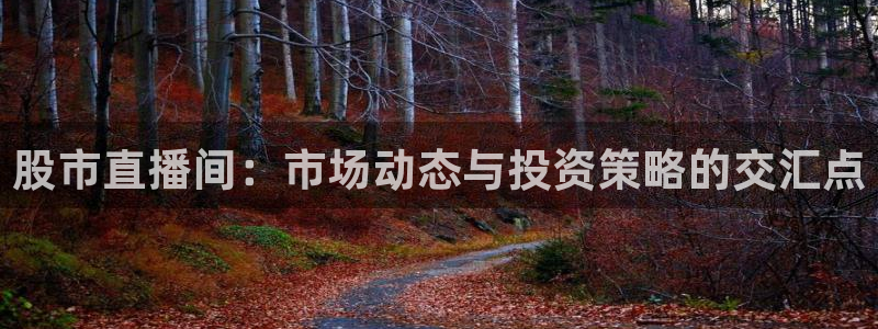 小九今天最新视频：股市直播间：市场动态与投资策略的交汇点