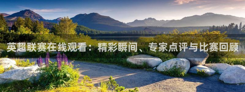 小九是谁：英超联赛在线观看：精彩瞬间、专家点评与比赛回顾