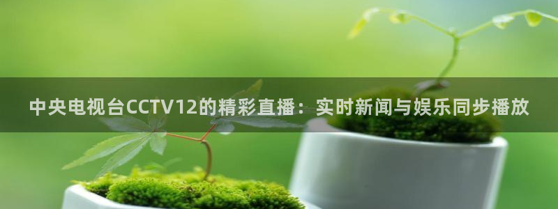 小九直播间足球直播
