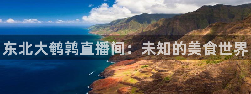 小九直播足球在线直播：东北大鹌鹑直播间：未知的美食世界
