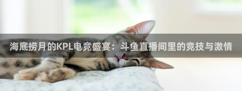 nba小九直播在线观看