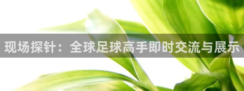 小九体育直播在线观看免费高清