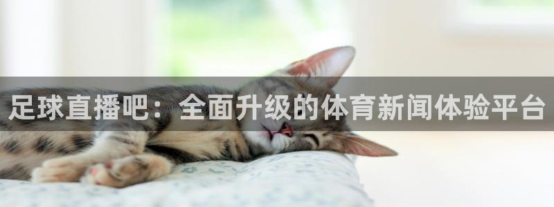 小九直播足球在线直播：足球直播吧：全面升级的体育新闻体验平台