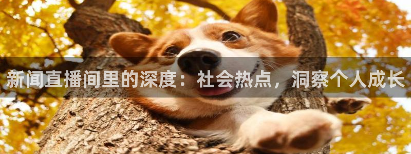 小九是谁