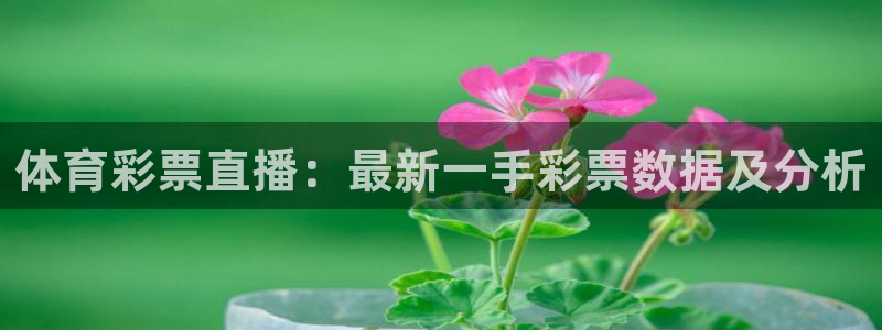 小九直播足球在线直播：体育彩票直播：最新一手彩票数据及分析