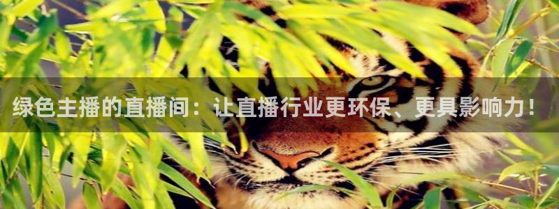 小九篮球直播：绿色主播的直播间：让直播行业更环保、更具影响力！